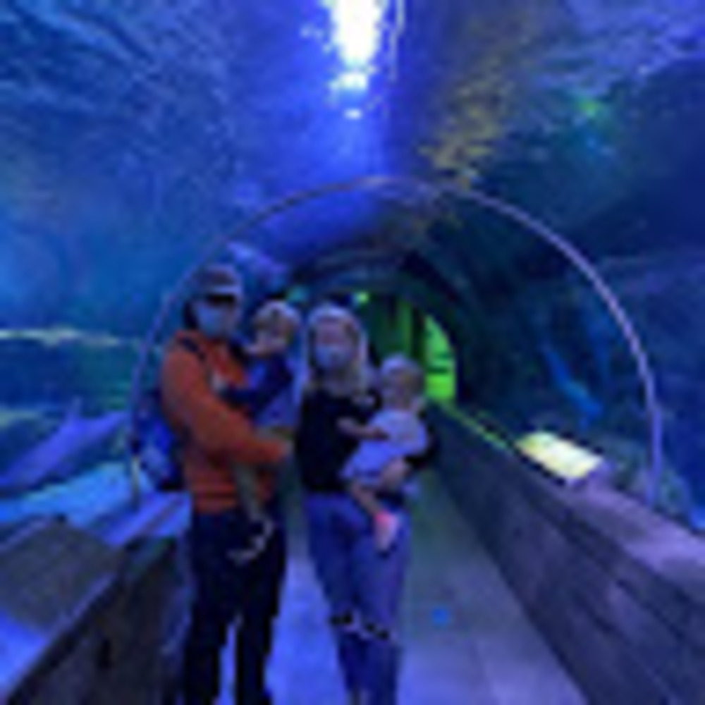 Meet your Posher, Vlogging